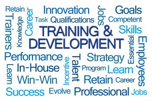a word cloud about training and development