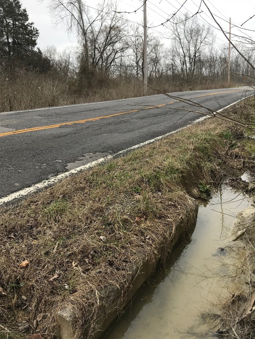 Fig 1 Water in Ditch