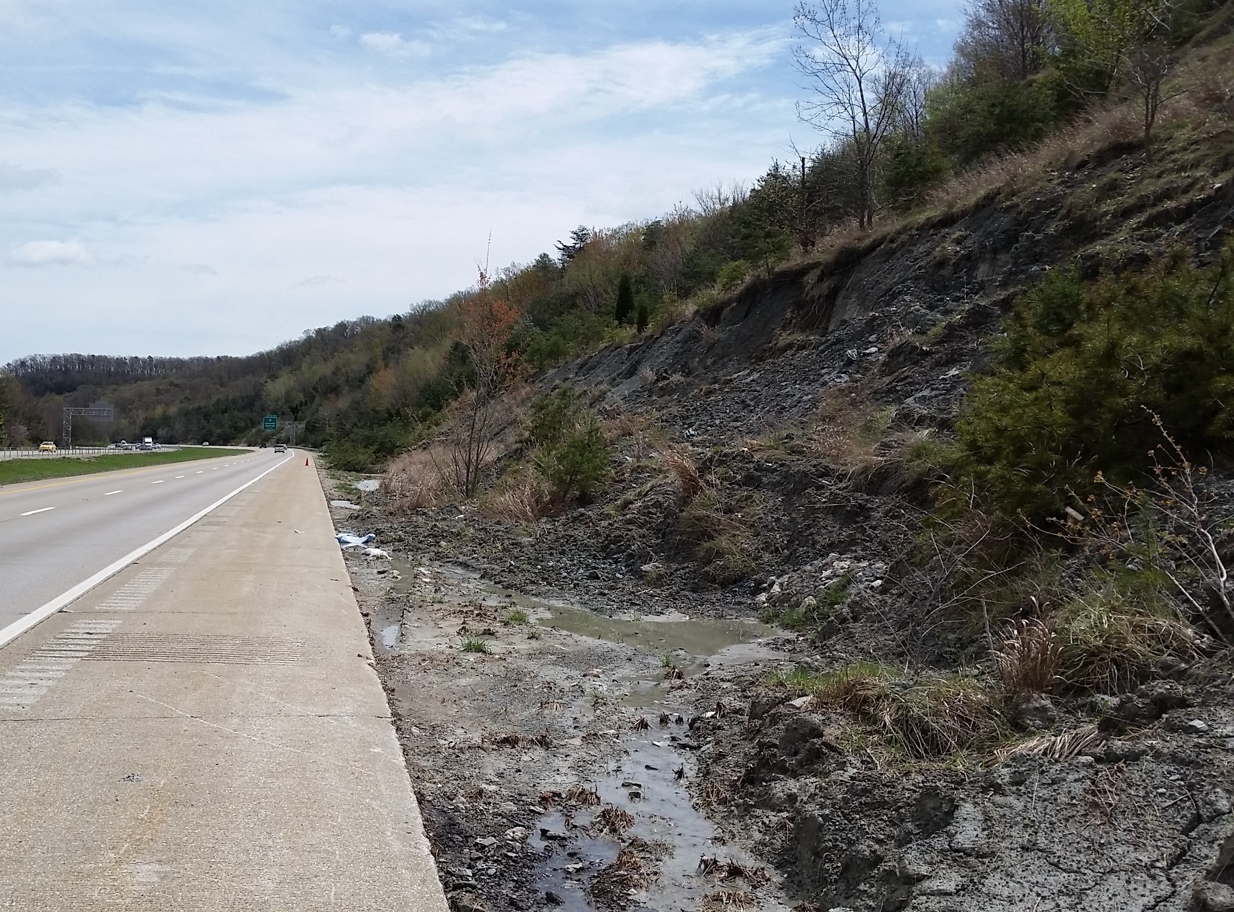 Fig 4 Ditch at Rock Cut filled